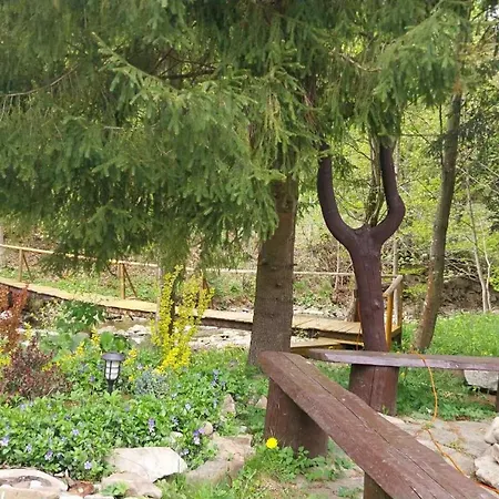 Dom Nad Rycerskim Potokiem * Rycerka Gorna