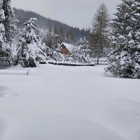 Dom Nad Rycerskim Potokiem Dom wakacyjny Rycerka Gorna