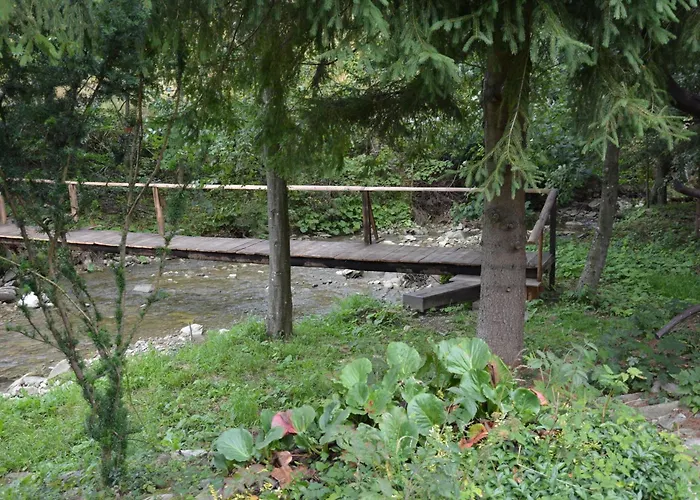 Holiday home Dom Nad Rycerskim Potokiem