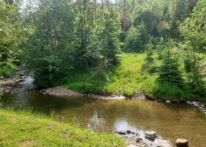 Dom Nad Rycerskim Potokiem * Rycerka Gorna